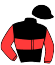 casaque portée par Doudard Mlle M. jockey du cheval de course IN VICTIS, information pmu ZETURF
