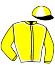 casaque portée par Barrier A. jockey du cheval de course TINAMO JET (IT), information pmu ZETURF casaque portée par Barrier A. jockey du cheval de course TINAMO JET (IT), information pmu ZETURF