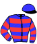 casaque portée par Rochard B. jockey du cheval de course FAUSTINE NAY, information pmu ZETURF