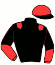 casaque portée par Frecelle Cl. jockey du cheval de course JOGGEUSE SMART, information pmu ZETURF