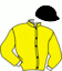 casaque portée par Poirier M. jockey du cheval de course GOOD MORNING ELGE, information pmu ZETURF casaque portée par Poirier M. jockey du cheval de course GOOD MORNING ELGE, information pmu ZETURF