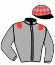 casaque portée par Menuet Wil. jockey du cheval de course FILOU RIEZAIS, information pmu ZETURF casaque portée par Menuet Wil. jockey du cheval de course FILOU RIEZAIS, information pmu ZETURF
