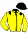 casaque portée par Angot A. jockey du cheval de course ICARE DE VOUEDE, information pmu ZETURF