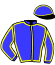 casaque portée par Constantin Mme A. jockey du cheval de course IOSHA CAYENNAISE, information pmu ZETURF