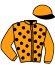 casaque portée par Terry C. jockey du cheval de course JOY DA VINCI, information pmu ZETURF