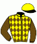 casaque portée par Jublot L. jockey du cheval de course JUTLAND DE TILLARD, information pmu ZETURF
