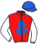 casaque portée par Monclin J. Ph. jockey du cheval de course FRODO S, information pmu ZETURF