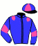 casaque portée par Raffin E. jockey du cheval de course HOLD UP RANAIS, information pmu ZETURF casaque portée par Raffin E. jockey du cheval de course HOLD UP RANAIS, information pmu ZETURF