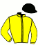 casaque portée par Rochard B. jockey du cheval de course HANNAH, information pmu ZETURF
