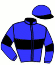 casaque portée par Desvaux A. jockey du cheval de course NOIR DES CARNETTES (FR), information pmu ZETURF