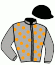 casaque portée par D' Andigne O. jockey du cheval de course EAGLESUN (FR), information pmu ZETURF