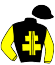 casaque portée par Lebouc Hug. jockey du cheval de course STICK AND CARROT (FR), information pmu ZETURF