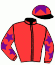 casaque portée par Bachelot T. jockey du cheval de course RUSSIAN DOLL, information pmu ZETURF
