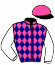 casaque portée par Riou C. jockey du cheval de course ALLEE SAT, information pmu ZETURF