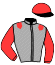casaque portée par Prioul F. jockey du cheval de course IMITCH DU MOULIN, information pmu ZETURF
