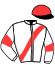 casaque portée par David F. M. jockey du cheval de course JACKPOT DU LIDO, information pmu ZETURF