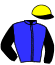 casaque portée par Robin B. jockey du cheval de course FAVELA SOMOLLI, information pmu ZETURF