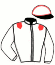 casaque portée par Pellan B. jockey du cheval de course EXPLOIT CAP, information pmu ZETURF
