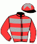 casaque portée par Chatellier V. jockey du cheval de course EADREAM, information pmu ZETURF