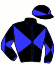 casaque portée par Manceau E. jockey du cheval de course ANGE L'HERMITAGE, information pmu ZETURF