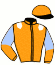 casaque portée par Luc Q. jockey du cheval de course JAMAICA, information pmu ZETURF