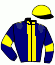 casaque portée par D' Andigne O. jockey du cheval de course CHARLOTTE TAGADA, information pmu ZETURF