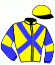 casaque portée par Metivier E. jockey du cheval de course MUTINE DE LISBOA, information pmu ZETURF