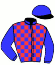 casaque portée par Guillochon J. jockey du cheval de course JACASSE, information pmu ZETURF