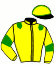 casaque portée par Gueranger J. P. jockey du cheval de course HALADY DES LOYAUX, information pmu ZETURF
