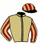casaque portée par Pasquier S. jockey du cheval de course EXCELSIOR, information pmu ZETURF