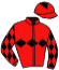 casaque portée par Lepage Axe. jockey du cheval de course LITOTE DU LANNIER, information pmu ZETURF casaque portée par Lepage Axe. jockey du cheval de course LITOTE DU LANNIER, information pmu ZETURF