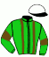 casaque portée par Subias A. jockey du cheval de course CENTRICAL, information pmu ZETURF casaque portée par Subias A. jockey du cheval de course CENTRICAL, information pmu ZETURF