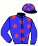 casaque portée par Defontaine Q. jockey du cheval de course ROSANDE (FR), information pmu ZETURF