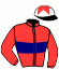casaque portée par Mouesan H. jockey du cheval de course SAVIO (FR), information pmu ZETURF