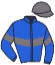 casaque portée par Merou Mlle A. jockey du cheval de course LINGOT D'ARGENT, information pmu ZETURF