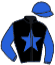 casaque portée par Veron F. jockey du cheval de course TINATURNER LANLORE, information pmu ZETURF