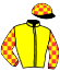 casaque portée par Forest M. jockey du cheval de course VICTORY STREET, information pmu ZETURF casaque portée par Forest M. jockey du cheval de course VICTORY STREET, information pmu ZETURF