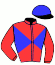 casaque portée par Werle A. jockey du cheval de course LIBELLULE, information pmu ZETURF casaque portée par Werle A. jockey du cheval de course LIBELLULE, information pmu ZETURF