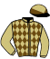 casaque portée par Le Clerc B. jockey du cheval de course KAOLAK, information pmu ZETURF casaque portée par Le Clerc B. jockey du cheval de course KAOLAK, information pmu ZETURF