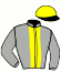 casaque portée par Lemaitre A. jockey du cheval de course TESTON (FR), information pmu ZETURF casaque portée par Lemaitre A. jockey du cheval de course TESTON (FR), information pmu ZETURF