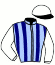 casaque portée par Bachelot T. jockey du cheval de course MARYNDER (FR), information pmu ZETURF