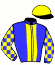 casaque portée par Cheminaud V. jockey du cheval de course SNOWBALL JACKSON (GB), information pmu ZETURF