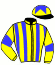 casaque portée par Mendizabal I. jockey du cheval de course ACAPULCO GOLD (FR), information pmu ZETURF