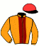 casaque portée par Besnier H. jockey du cheval de course RICARDO, information pmu ZETURF