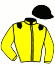 casaque portée par Crublet E. jockey du cheval de course DIWAN, information pmu ZETURF