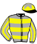 casaque portée par Lecoeuvre C. jockey du cheval de course HOLLY GOLIGHTLY (IE), information pmu ZETURF