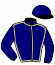 casaque portée par Nicoleau J. jockey du cheval de course VAN HALO, information pmu ZETURF