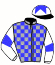casaque portée par Duporte Mlle A. jockey du cheval de course ALPINO (FR), information pmu ZETURF