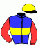 casaque portée par Trullier T. jockey du cheval de course RIMBAULT, information pmu ZETURF