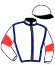 casaque portée par Seguy V. jockey du cheval de course CAPTAIN DE CERISY, information pmu ZETURF